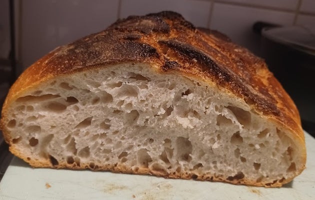 Some old sourdough