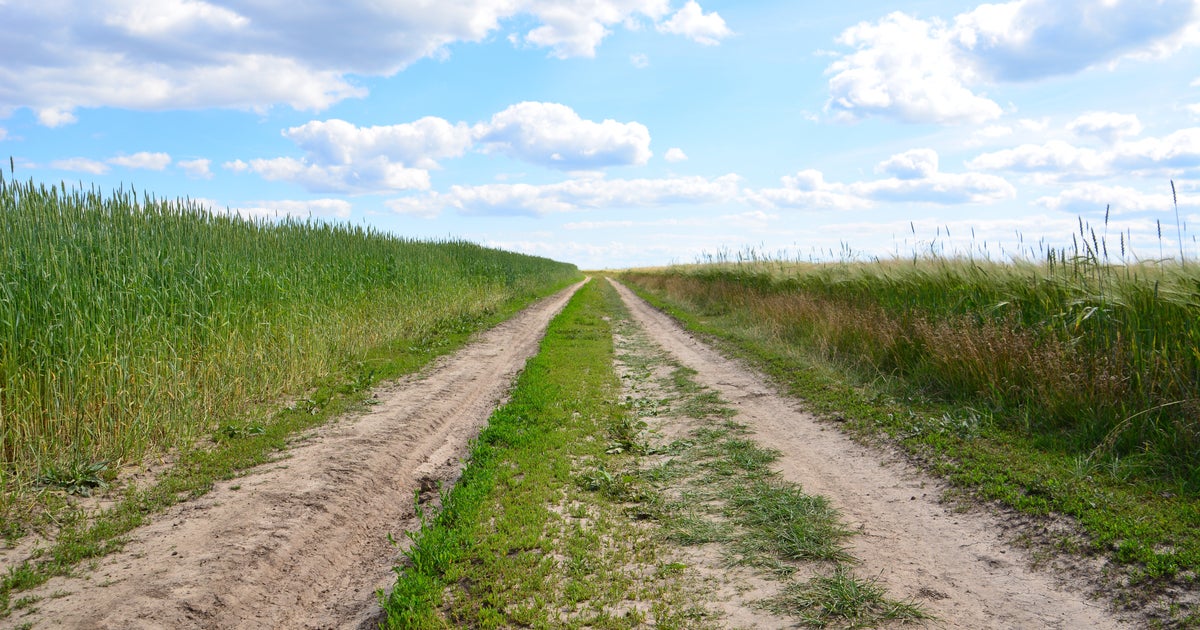 その黄緑の花、絶対に触らないで。「道端にたくさん生えてた」「形はかわいいけど…」報告相次ぐ