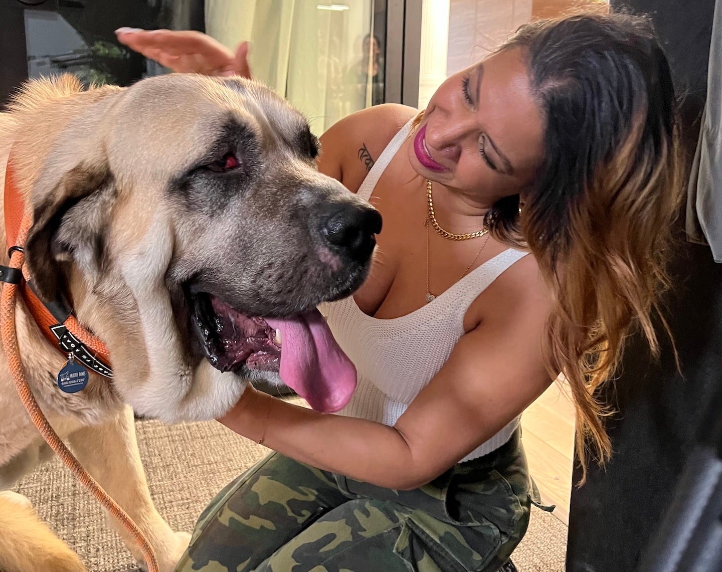 3 Crucial Questions You Should Ask When You're About to Adopt A Dog