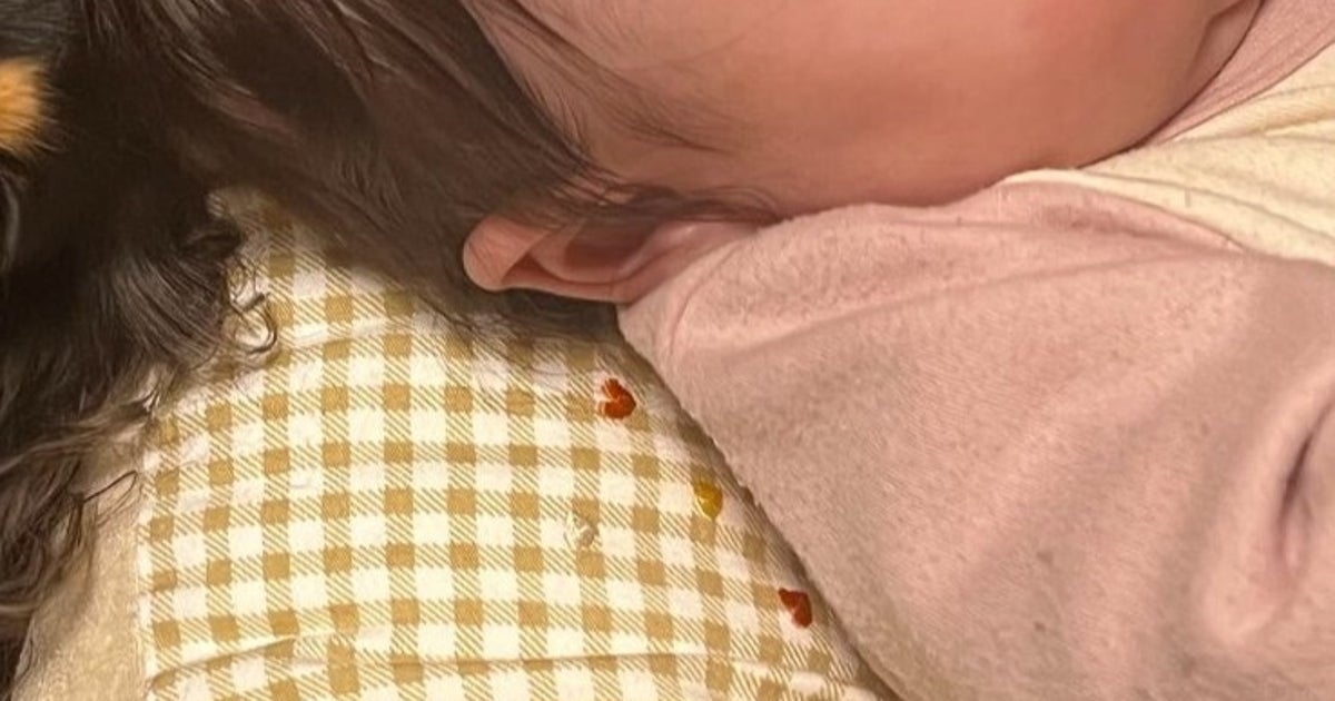 愛犬が赤ちゃんの頭に優しくコツン。「何か意味あるのかな？」という問い掛けに反響続々