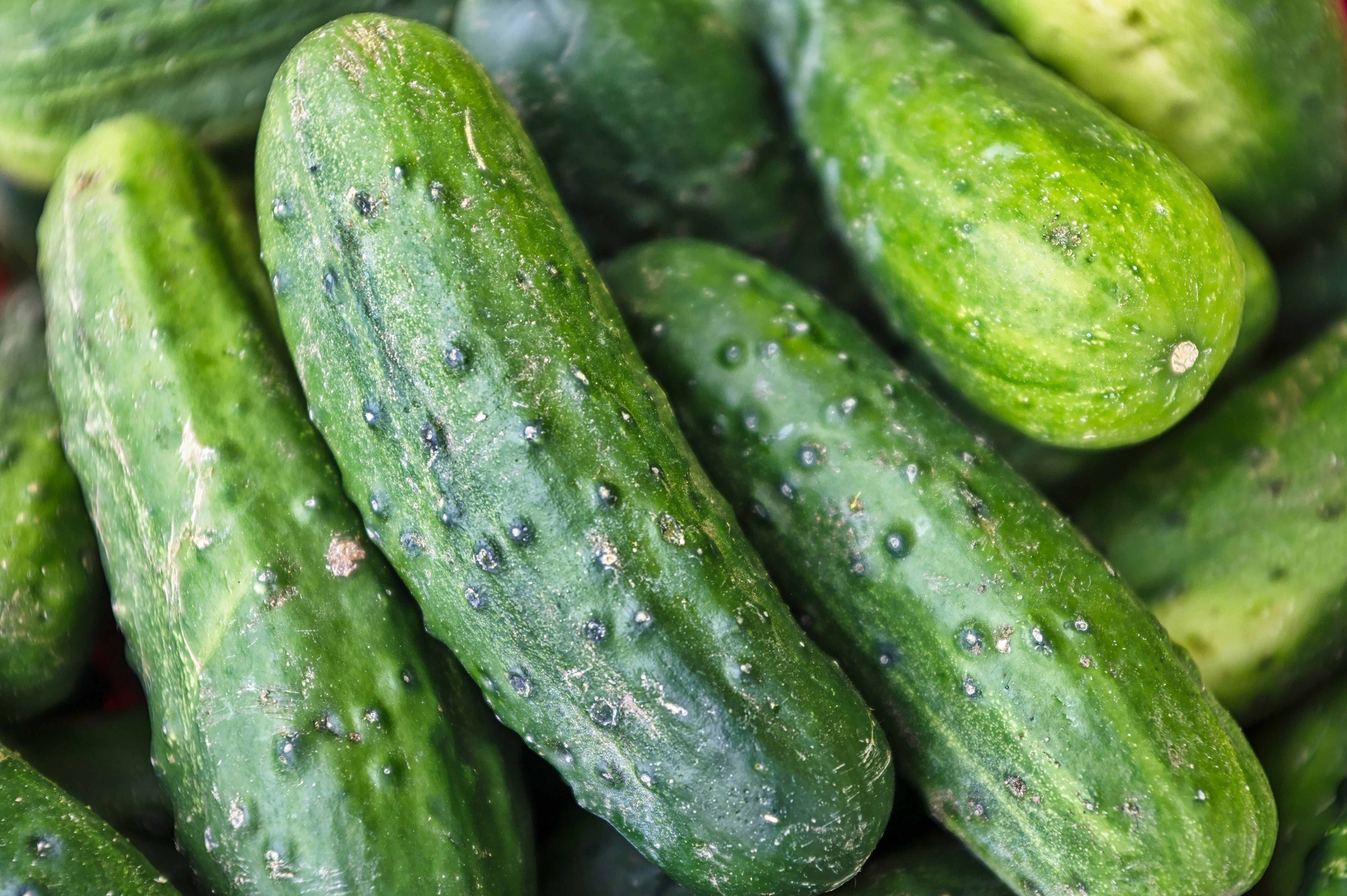How To Work Around A Cornichon Shortage, According To A Chef