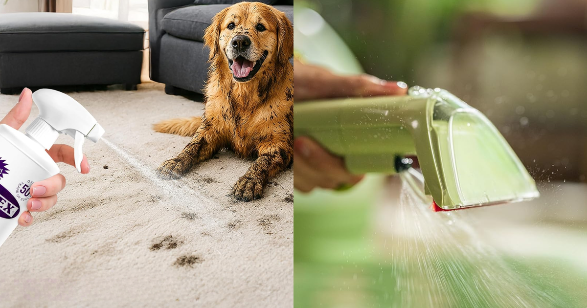 My Dog And Baby Puke On Everything — Here's What Gets All The Stains Out