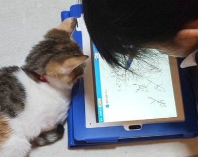 0歳だった愛猫と子ども、5年後の2ショットに反響⇨「ず〜っと続け！」「一緒に大きくなったね」