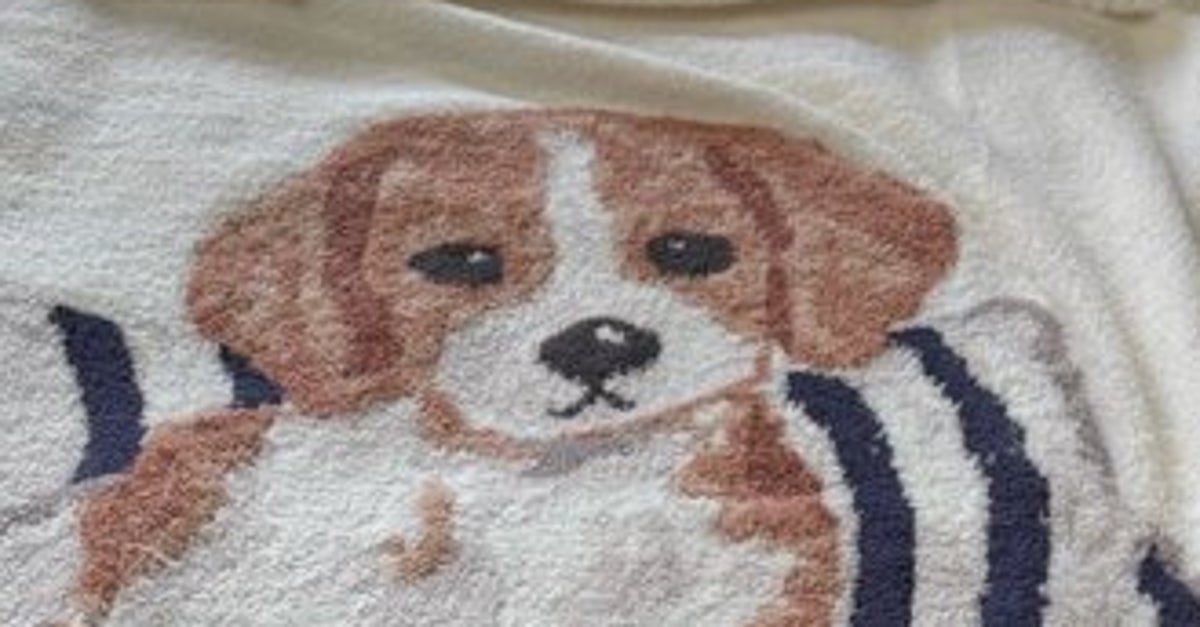 嫉妬するビーグル「その犬、誰?」⇨撮影中の「言いたげな顔」が可愛すぎると「3.8万」いいね