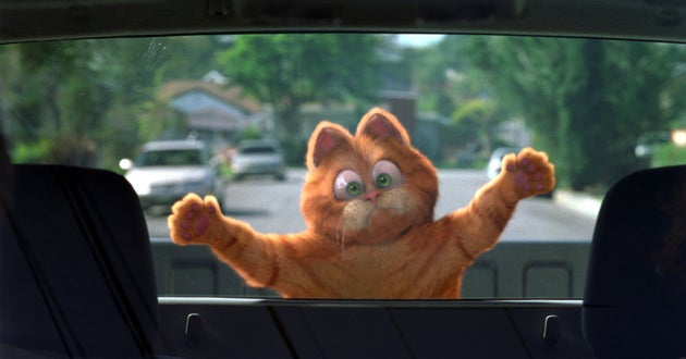 Bill Murray voiced Garfield the cat in an ill-fated 2004 film