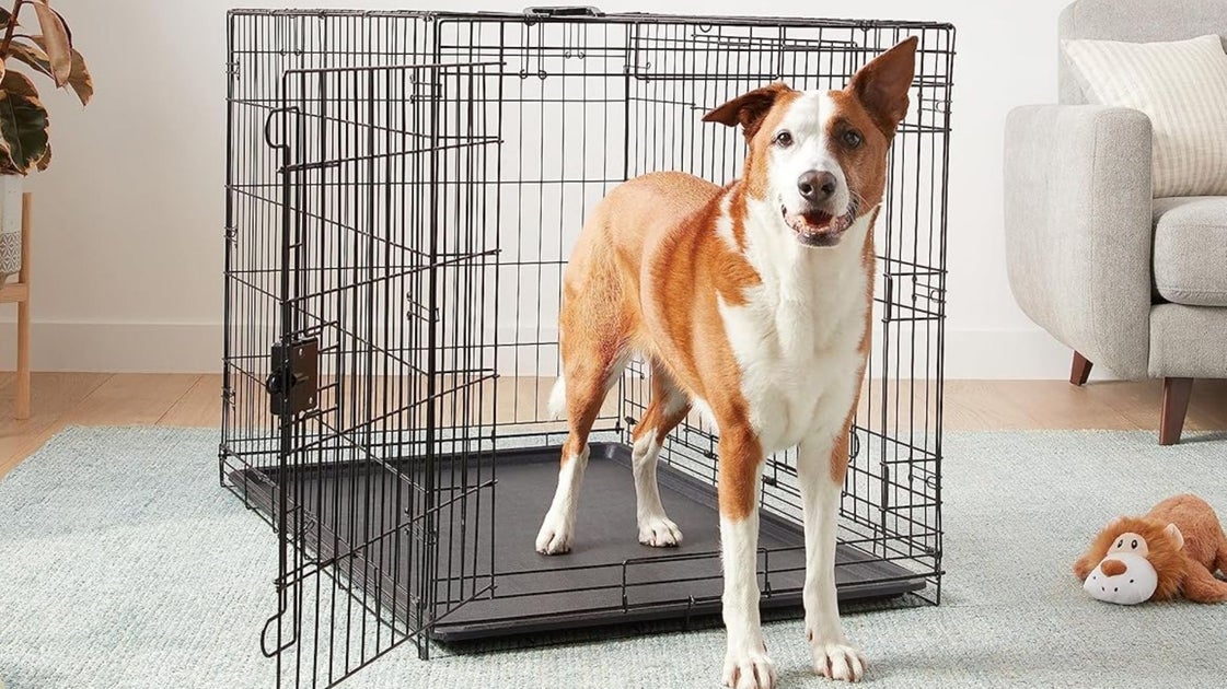 Yes, You Need A Dog Crate | HuffPost Life - Live Edge Dog Crate With Messaging