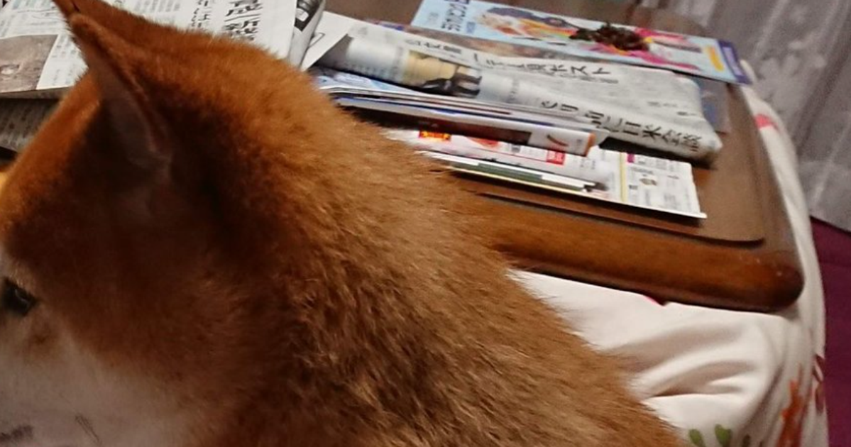 母からコレステロール値を注意される柴犬⇨「反省感出てる」「真剣に聞いててえらい」と6.6万「いいね」