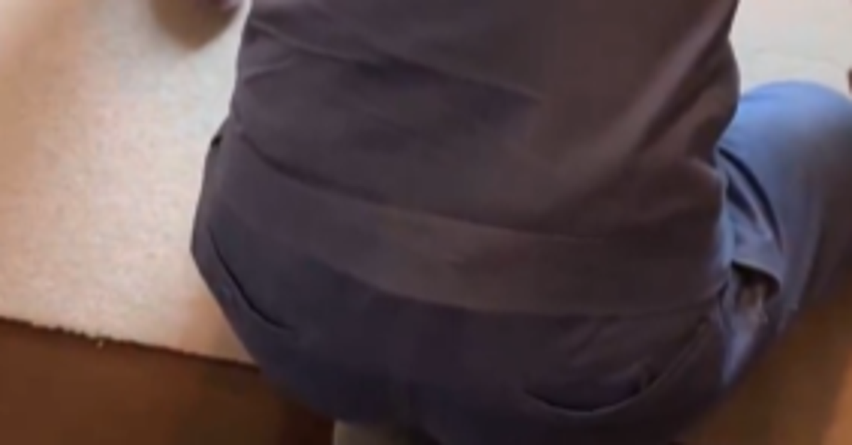 帰宅直後の夫に群がる“猫3匹の愛情表現”⇨「なんという幸せ」「猫にモテすぎ」と反響