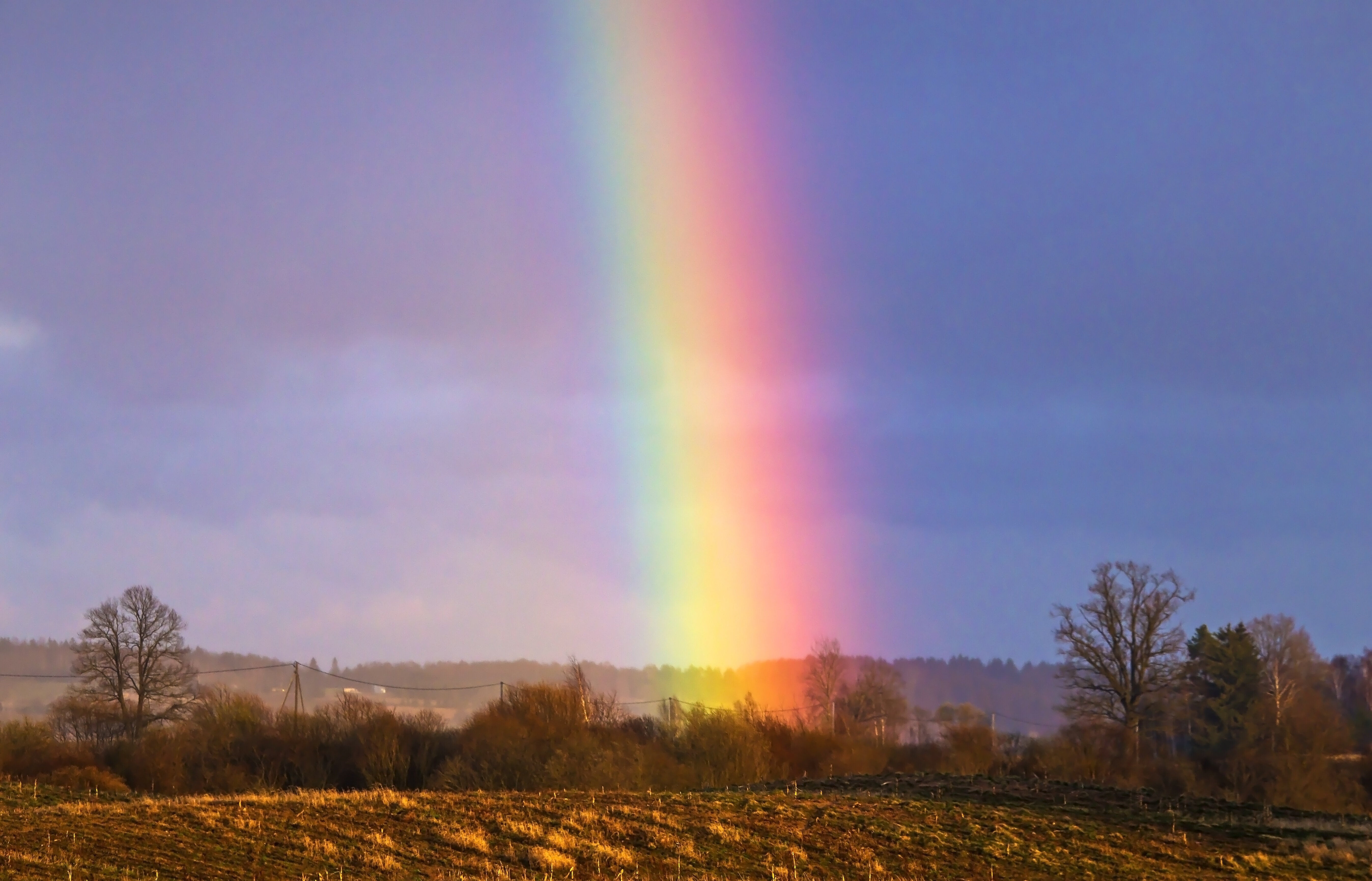 リアル“ラピュタ“の世界…！虹を背景にたたずむロボット兵に「まるで物語の風景」【三鷹の森ジブリ美術館】