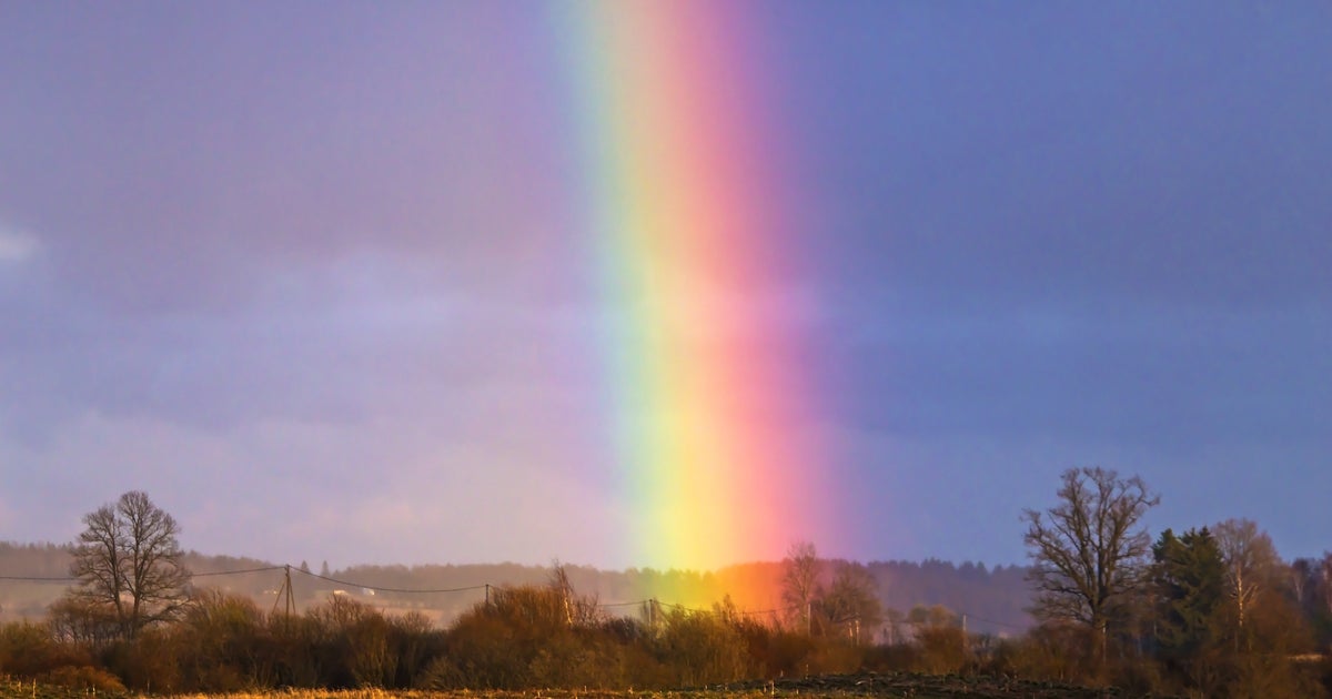 リアル“ラピュタ“の世界…！虹を背景にたたずむロボット兵に「まるで物語の風景」【三鷹の森ジブリ美術館】