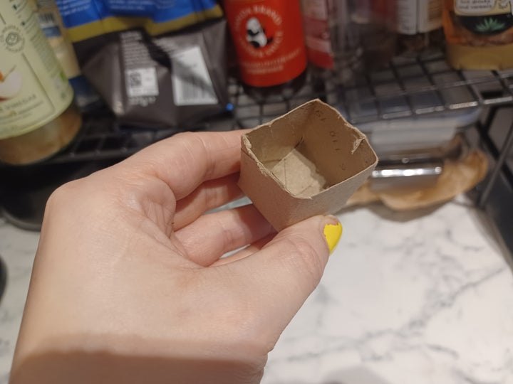Seedling pot