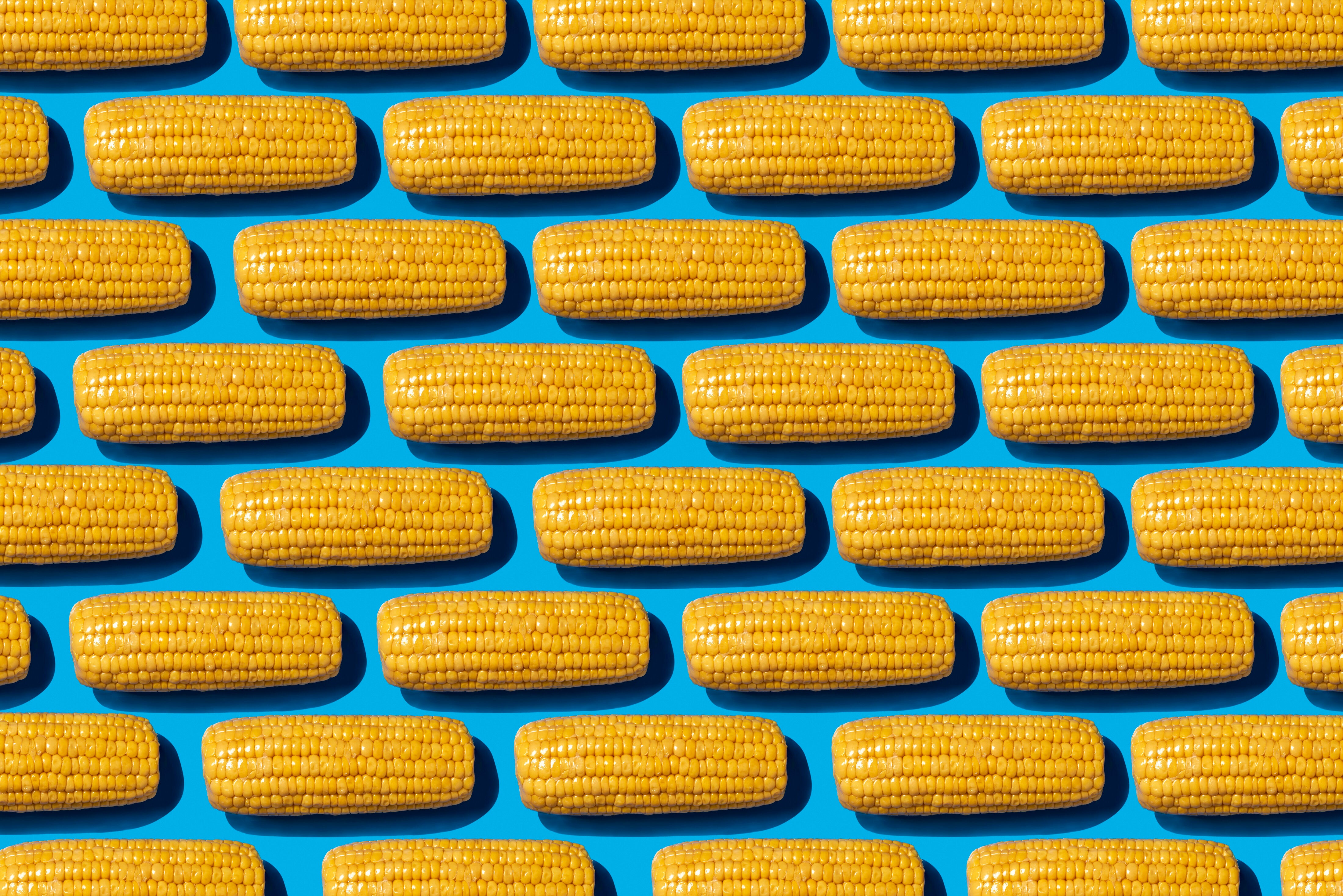 Why Does Corn Come Out Whole In Your Poo, Even When You Chew It?
