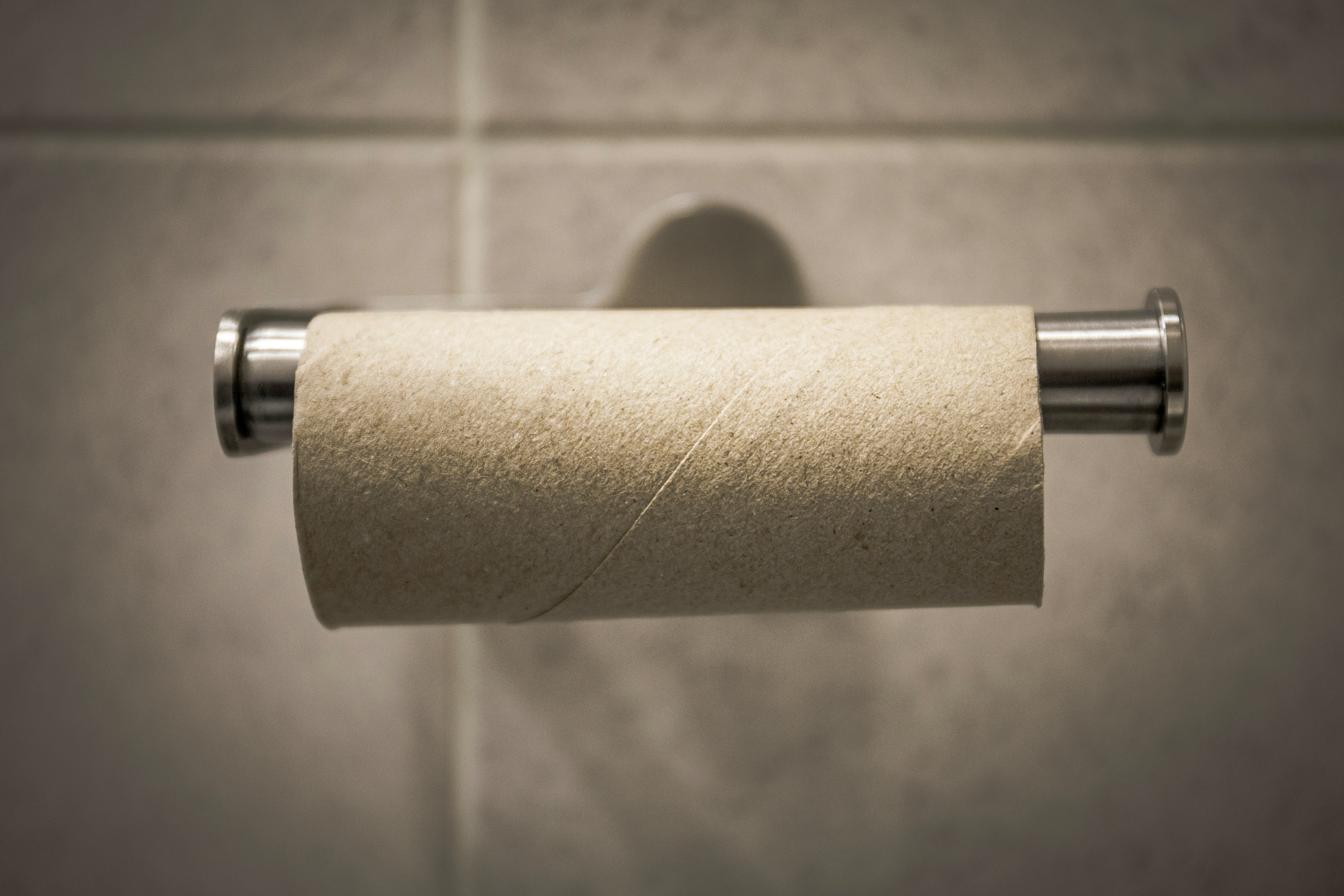 Healthy Seedlings, Fewer Pests, And Better Soil: Four Gardening Uses For Empty Toilet Roll Tubes