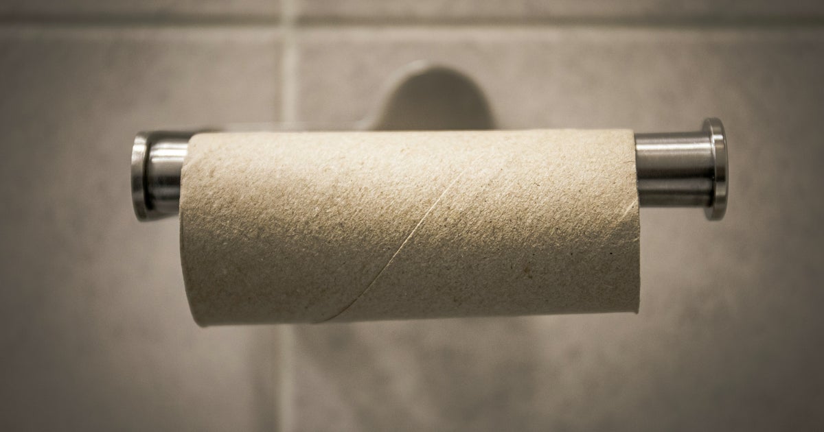 Healthy Seedlings, Fewer Pests, And Better Soil: Four Gardening Uses For Empty Toilet Roll Tubes