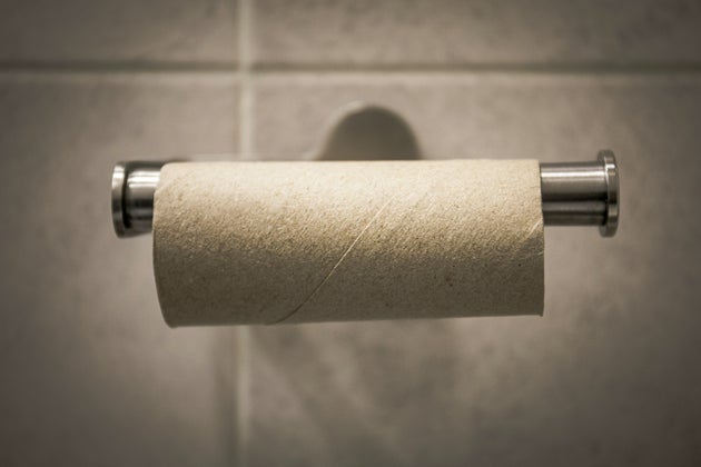 Healthy Seedlings, Fewer Pests, And Better Soil: Four Gardening Uses For Empty Toilet Roll Tubes