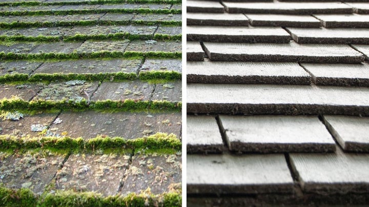 This No-Scrub Outdoor Cleaner Is ‘Better Than A Pressure Washer ...