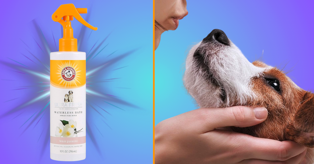 The $5 Spray Pet Owners Swear By For ‘Notoriously Stinky’ Dogs That Also ‘Notoriously Hate Water’