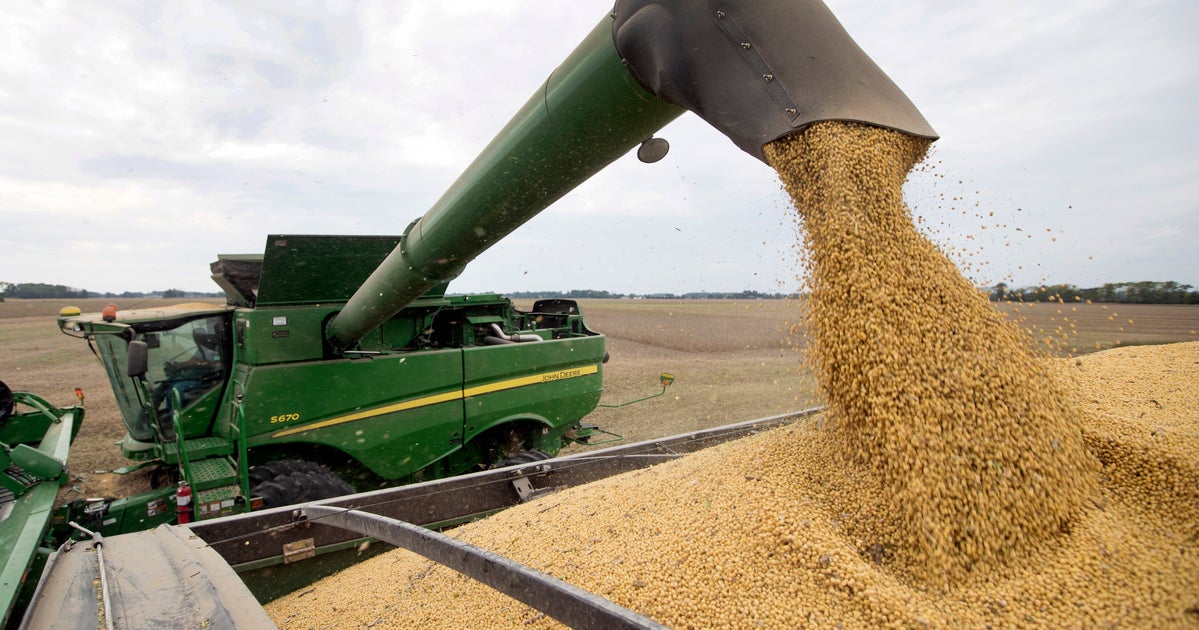 Trump Admin. Rejects Women Picked For Soybean Board, Appoints Men Instead