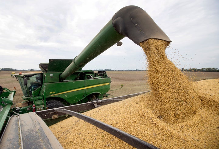 In this Sept. 21, 2018, file photo, Mike Starkey offloads soybeans from his combine as he harvests his crops in Brownsburg, Ind. (AP Photo/Michael Conroy, File)