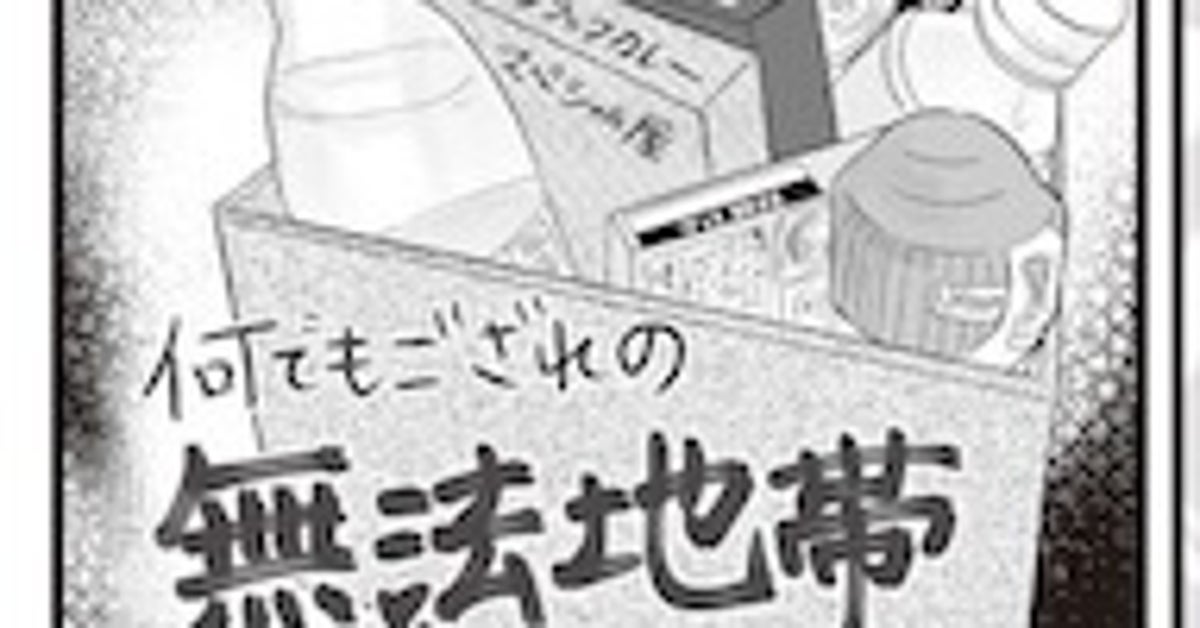【収納】SNSで人気の収納術“シンデレラフィット”に魅了された「悲しい末路」がこちら。解決策は？（漫画）
