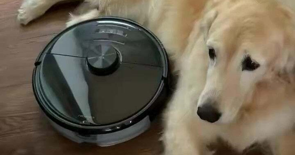 「お互い譲らない戦いがしばらく続いた日」　掃除機vs.大型犬の戦いに「かわいい」「気持ちいいのかな」とSNSほっこり