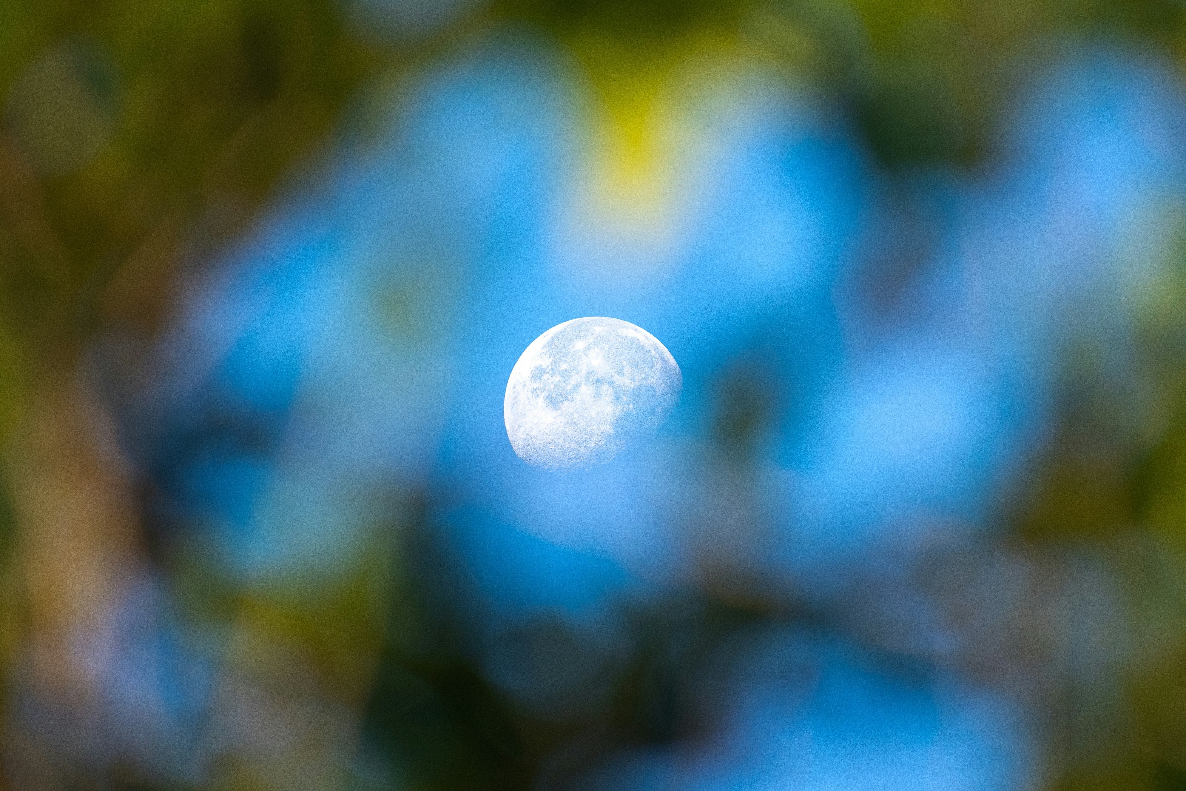 May's Flower 'Micromoon' Set To Rise This Friday