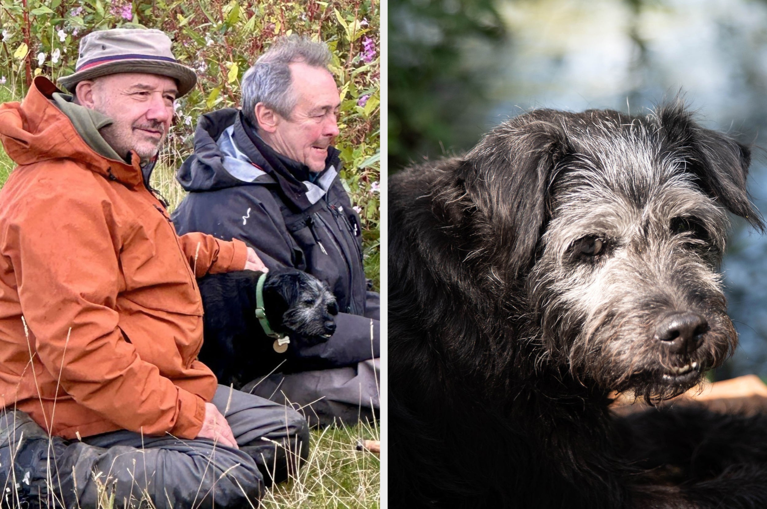 Bob Mortimer And Paul Whitehouse Pay Tribute To Gone Fishing Dog, Ted
