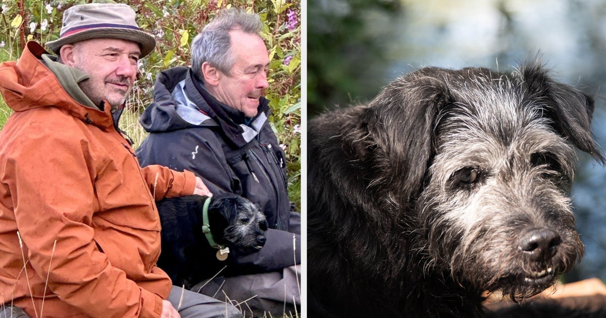 Ted Gone Fishing : ce qu'il faut savoir — image 2