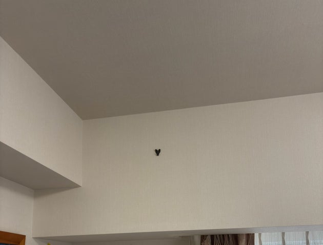 壁の写真