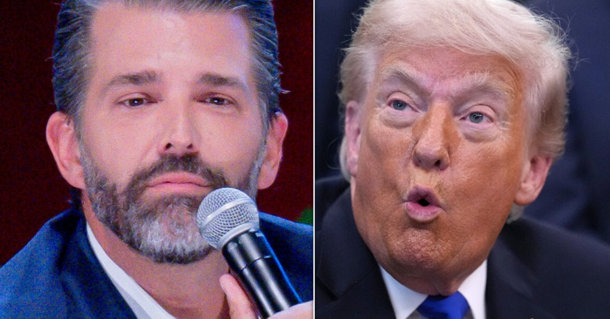 Trump Has Curious Response To Reports On Donald Trump Jr. Taking Over 'The Apprentice'