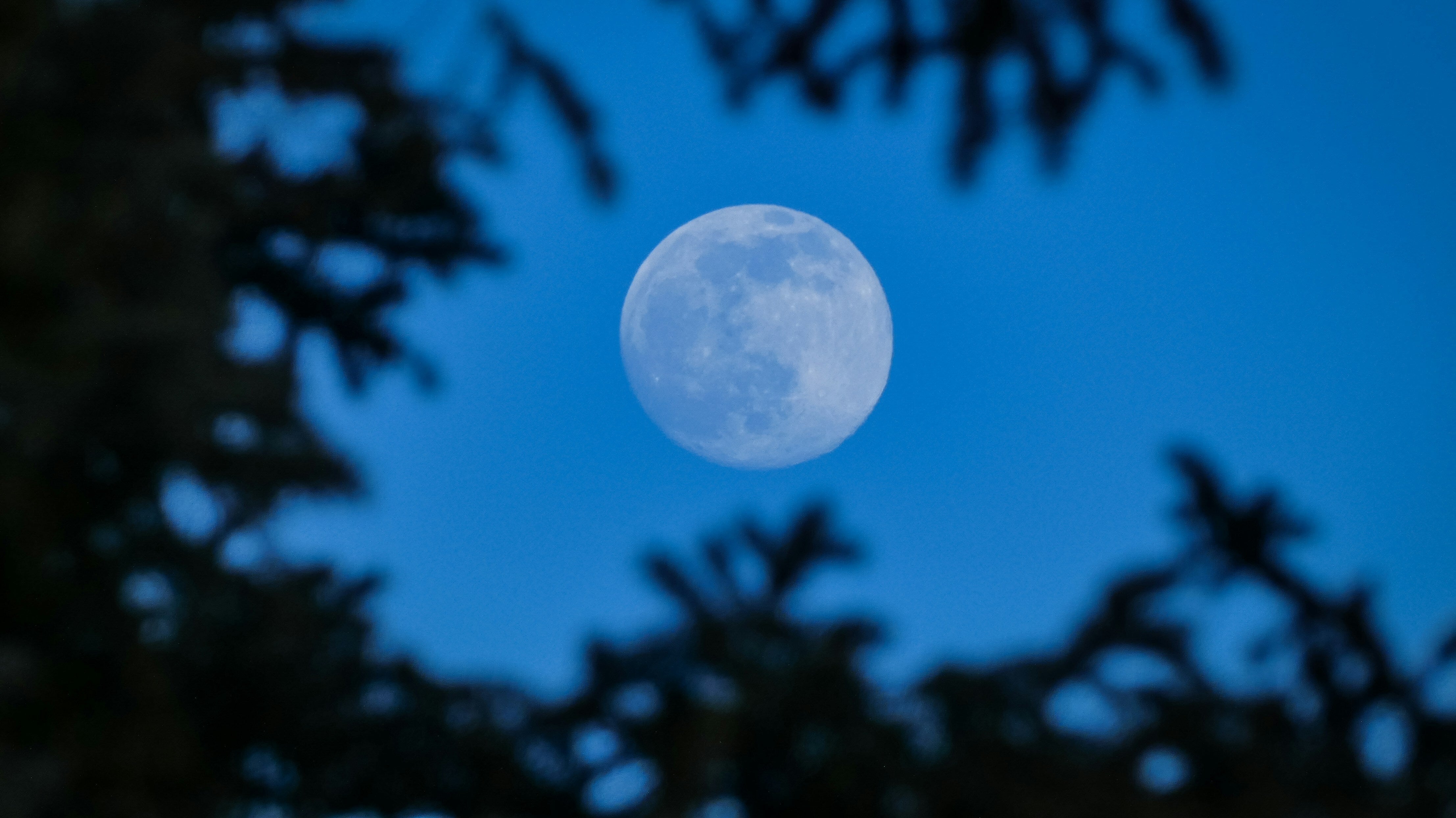 May 2026 Will Have Two Moons, And The Second Is A Rare Sight