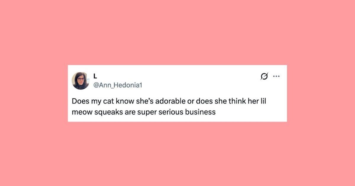 20 Of The Funniest Posts About Cats And Dogs This Week