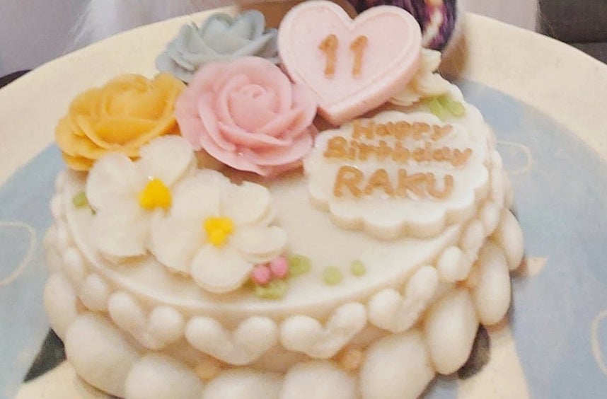 「誕生日ケーキと一緒に笑う愛犬」を撮りたいと11年...⇒夢と現実のギャップに爆笑