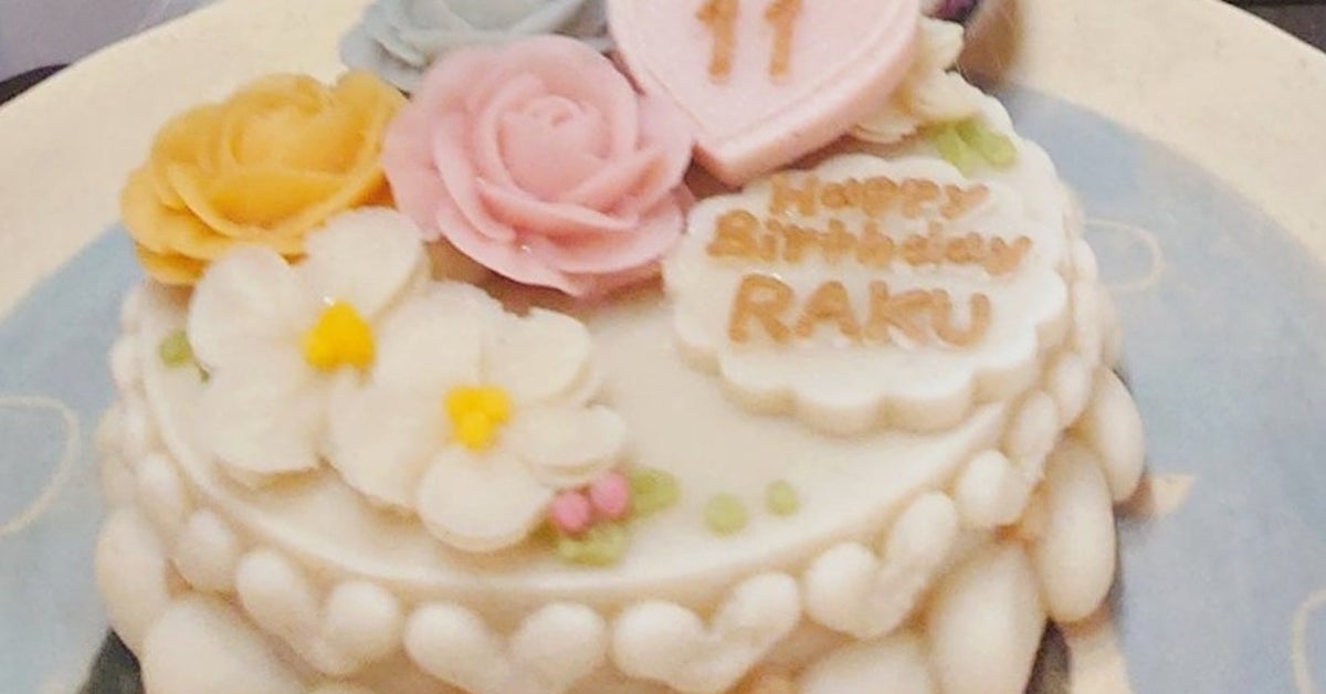 「誕生日ケーキと一緒に笑う愛犬」を撮りたいと11年...⇒夢と現実のギャップに爆笑