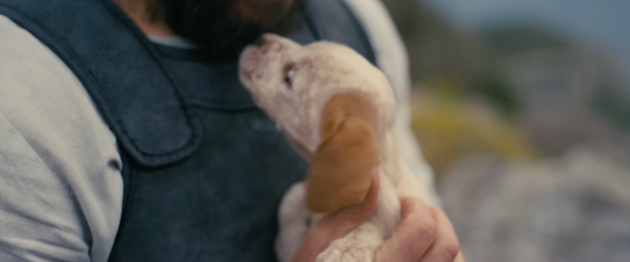 D'aww