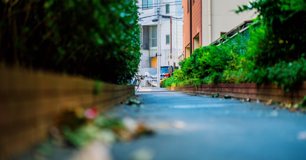 コスモスに似た「黄色い花」、見つけたらすぐ駆除して。5月に開花、身近な場所で繁殖