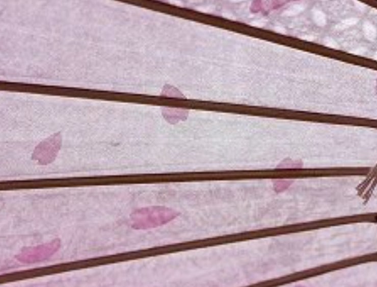 桜の花がそのまま和傘に…幻想的な「桜和傘」に反響⇨職人技に「思わず息をのむ美しさ」「日本の春の極み」