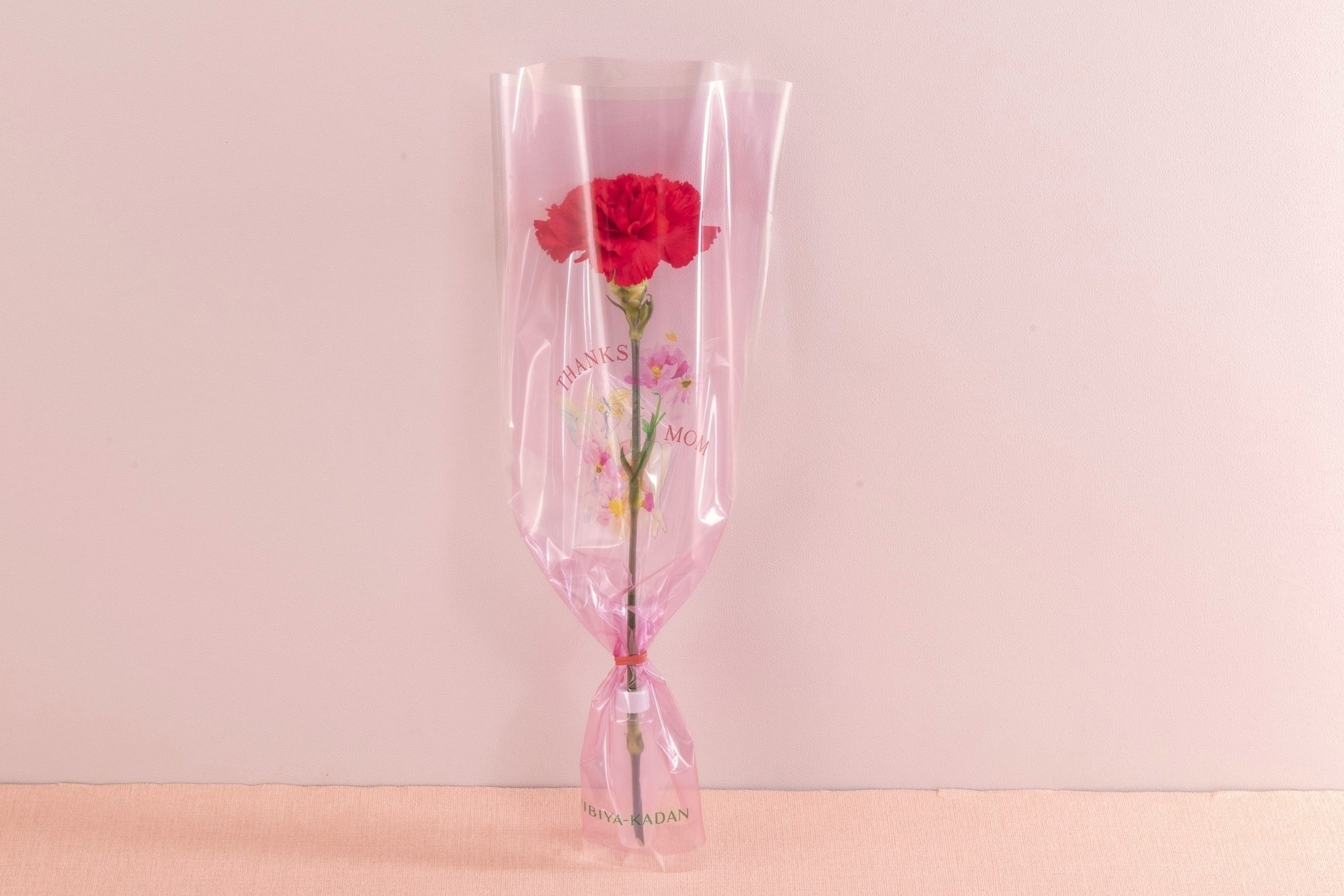 日比谷花壇が「母の日88円キャンペーン」を実施。小学生以下はカーネーション1本88円。お小遣いで感謝を伝えられる