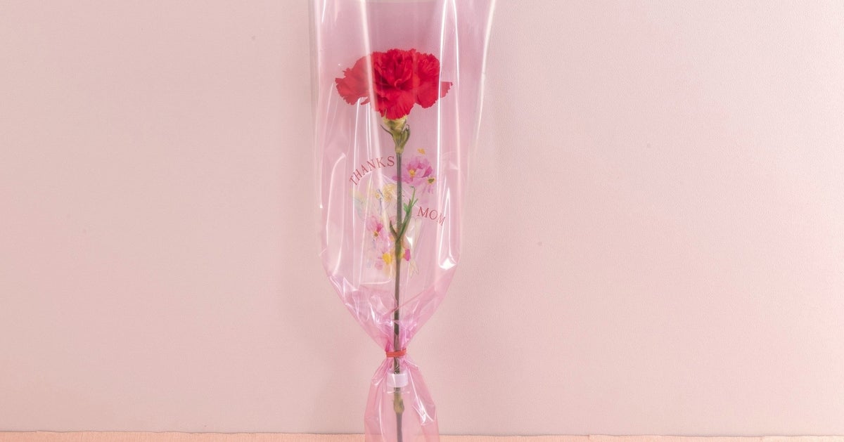 日比谷花壇が「母の日88円キャンペーン」を実施。小学生以下はカーネーション1本88円。お小遣いで感謝を伝えられる