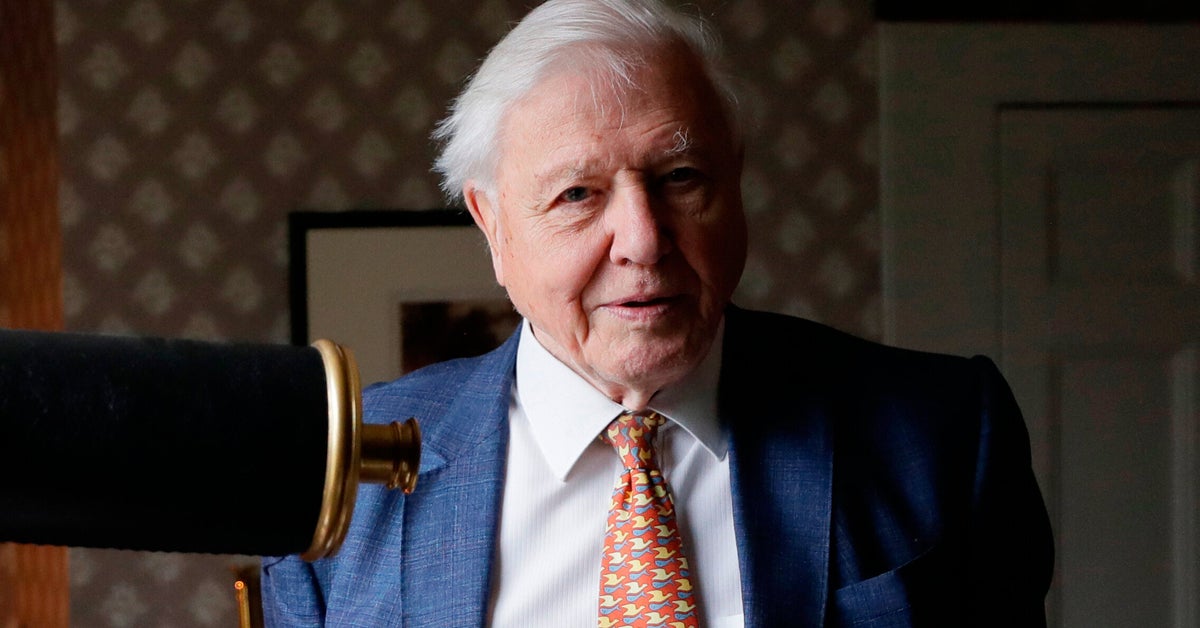 David Attenborough 'Overwhelmed' By Love Shown To Him As He Marks His 100th Birthday