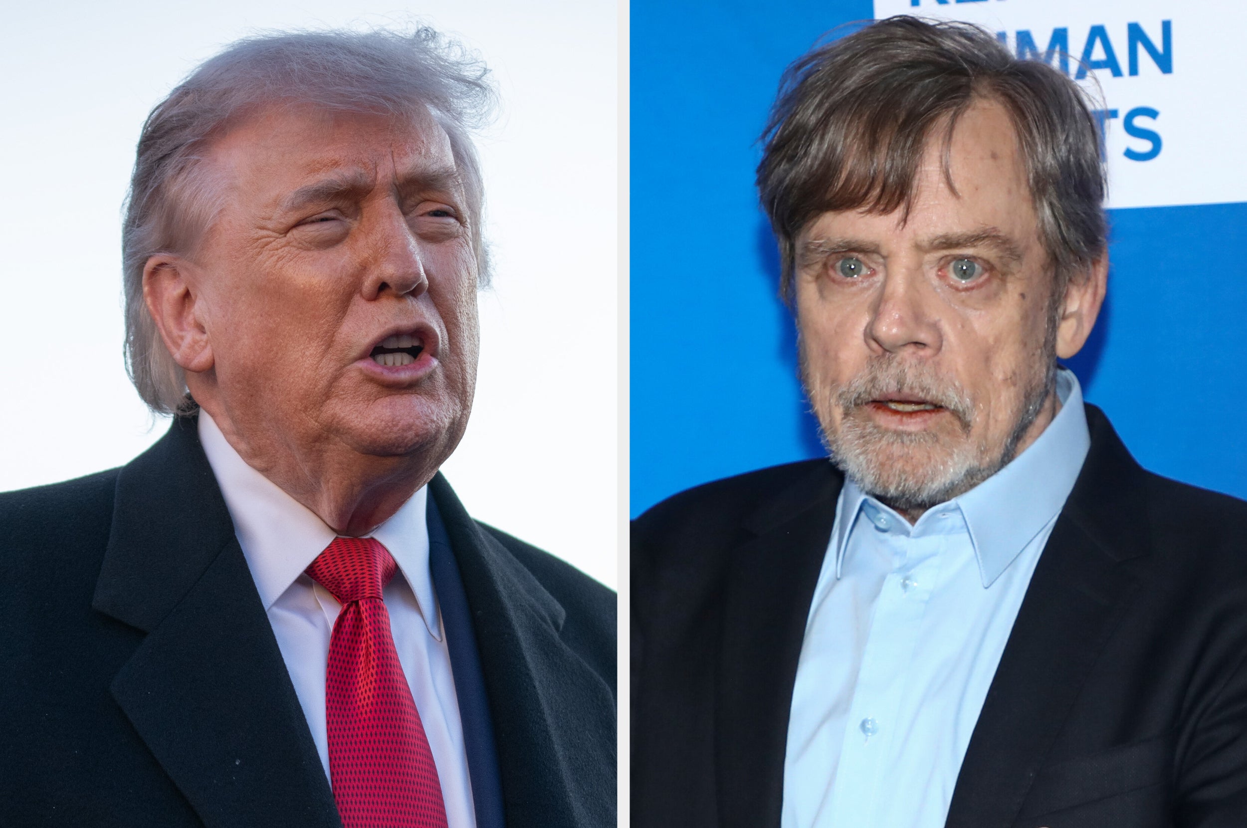 White House Brands Mark Hamill 'One Sick Individual' Over Donald Trump Grave Post