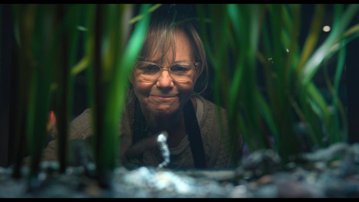 Sally Field has won praise for her work in Remarkably Bright Creatures