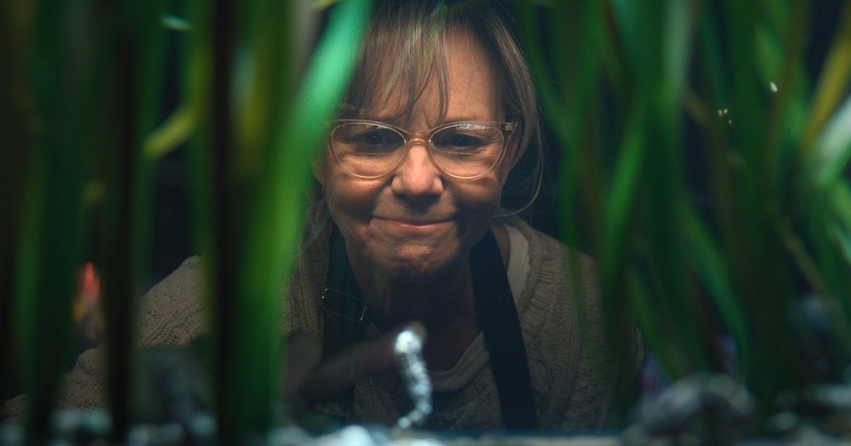 Critics Are Calling Netflix's Remarkably Bright Creatures Ideal Comfort ...