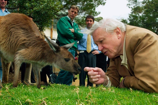 David Attenborough