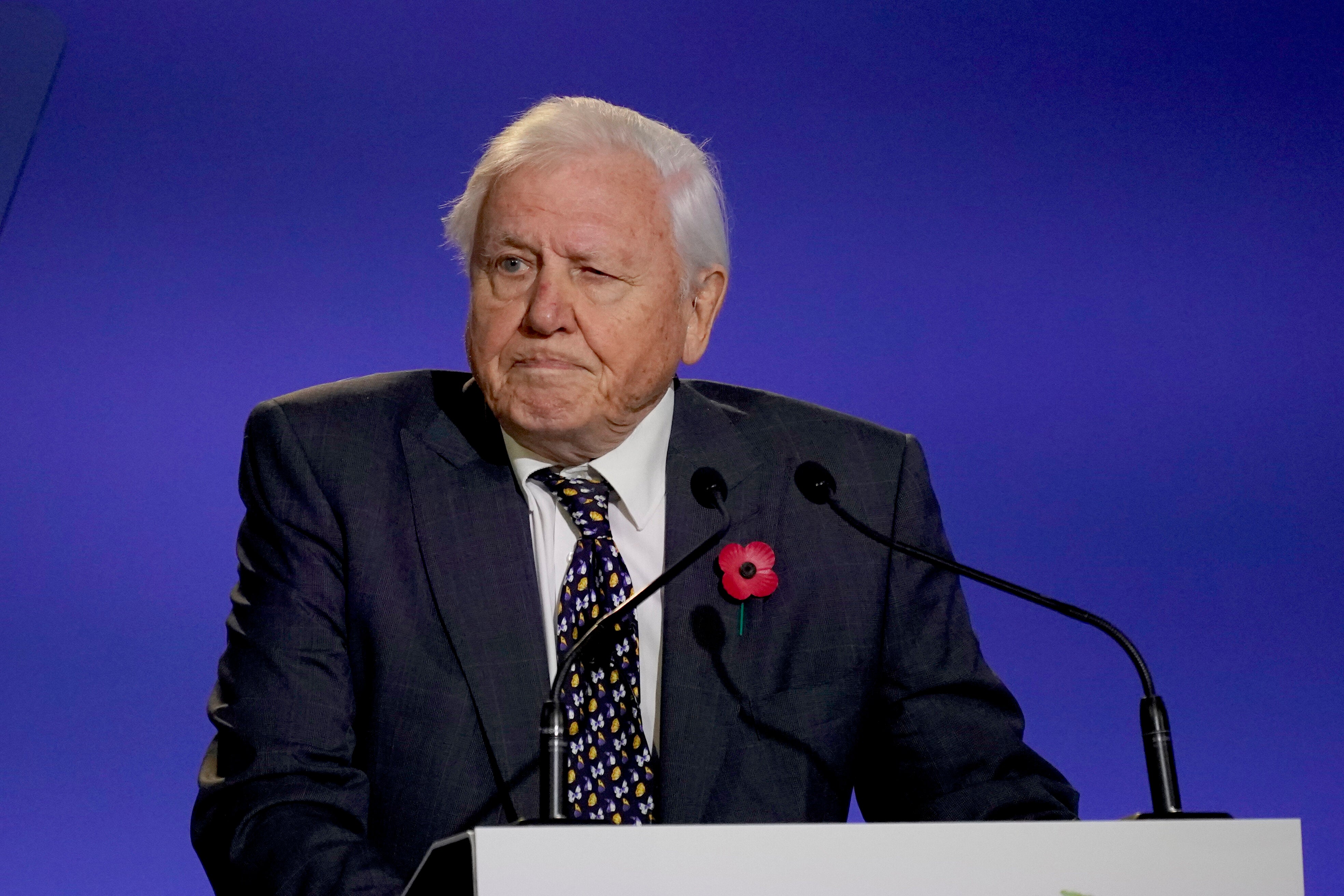 David Attenborough Shares ‘Most Important’ Way to Connect Children With Nature