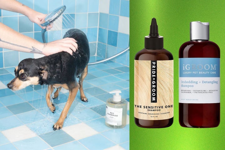 Image showcasing Best Dog And Cat Shampoos, According To Groomers | HuffPost Life