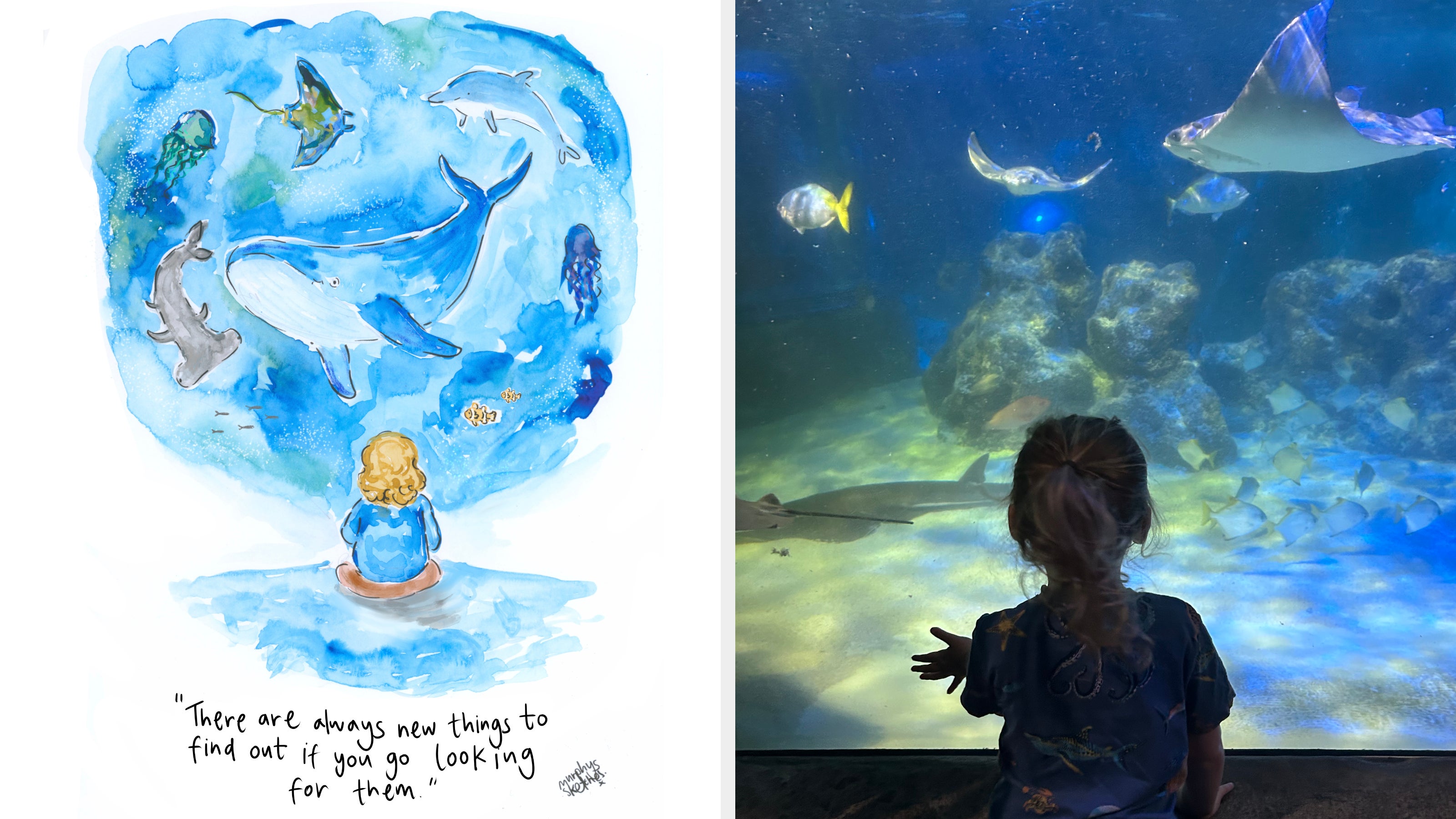 Illustrator's Touching Message To David Attenborough For Helping Non-Verbal Son Learn To Speak