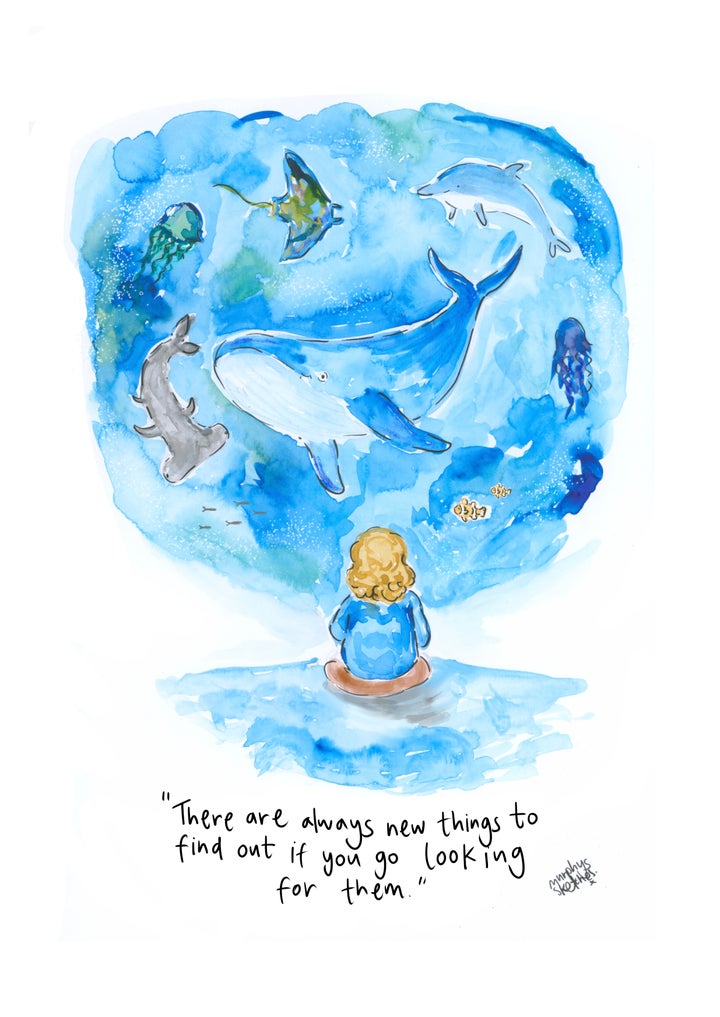 The illustration Kerri shared to thank Sir David Attenborough.