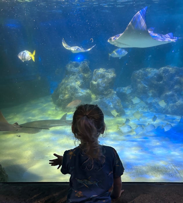 Kerri's son is fascinated by sea creatures.