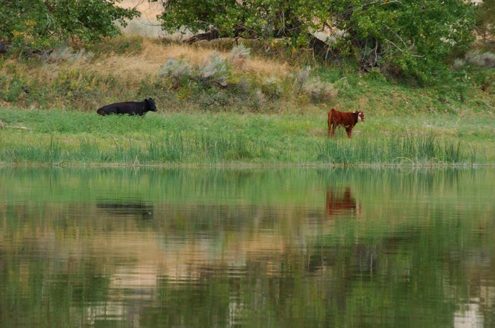 Supporters argued that conservation had long been a secondary consideration at the land bureau, neglecting its mission under the 1976 Federal Lands Policy Management Act.